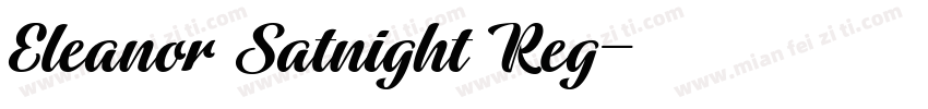 Eleanor Satnight Reg字体转换